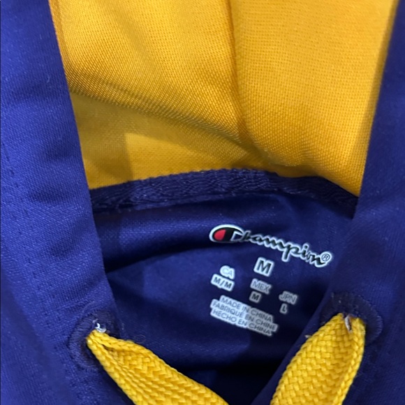 Champion Purple and Gold Hoodie - Picture 2 of 4